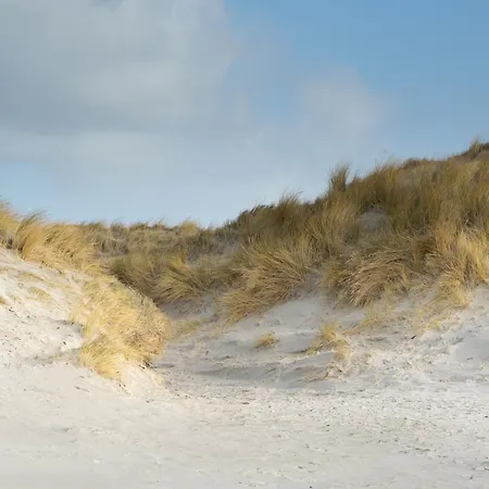 Alte Schule Duenenkieker *