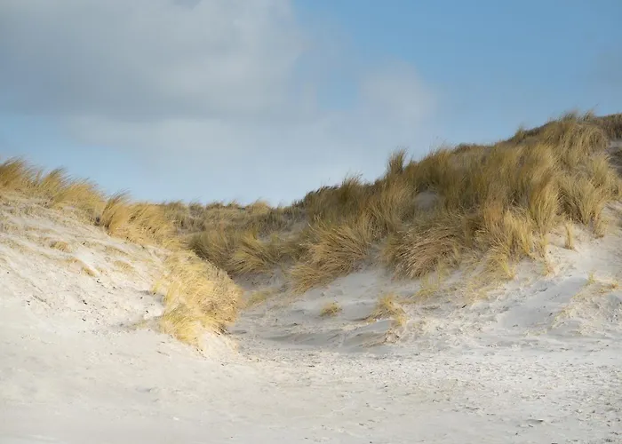 Alte Schule Duenenkieker *